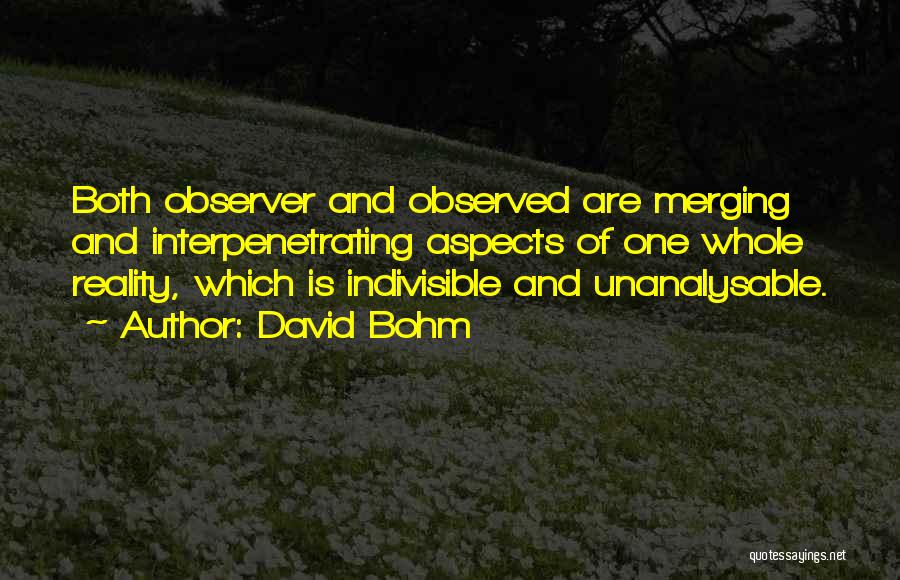 Indivisible Quotes By David Bohm
