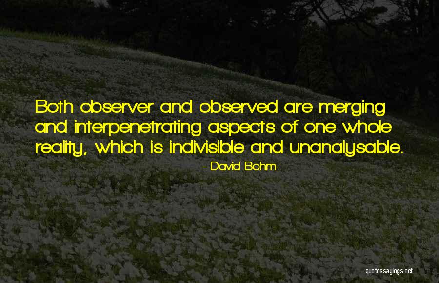 Indivisible Quotes By David Bohm