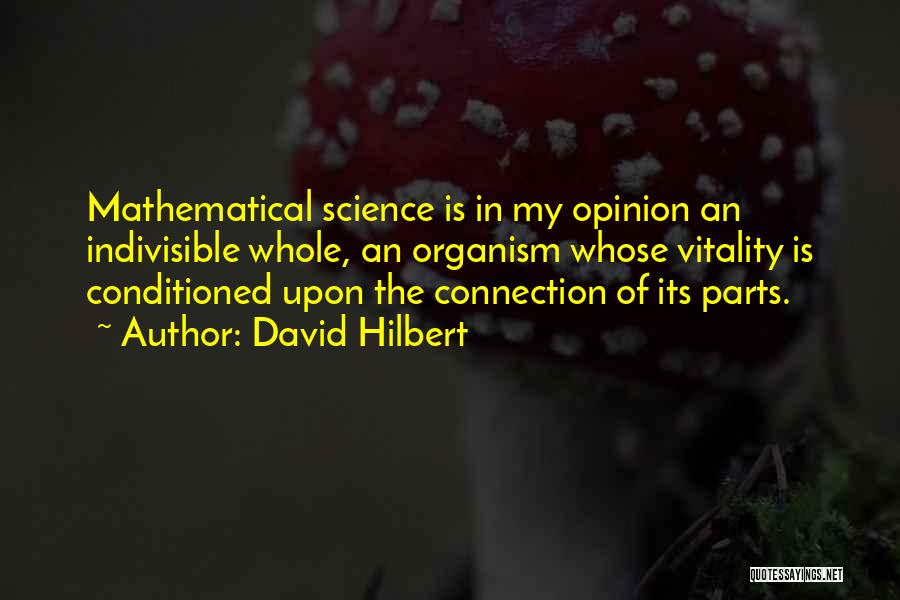 Indivisible Quotes By David Hilbert