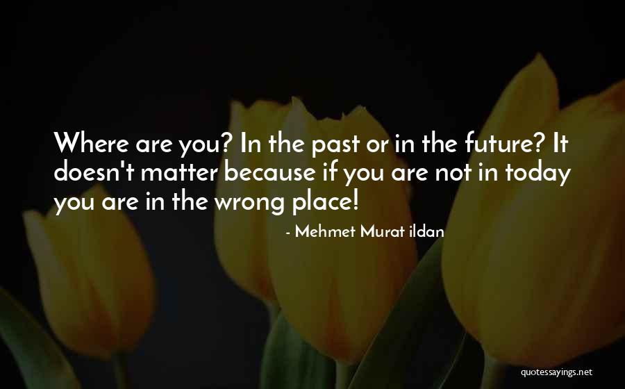 Indochinese Rat Quotes By Mehmet Murat Ildan