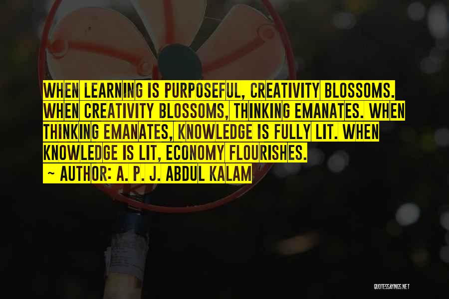 Indomitable Spirit Quotes By A. P. J. Abdul Kalam