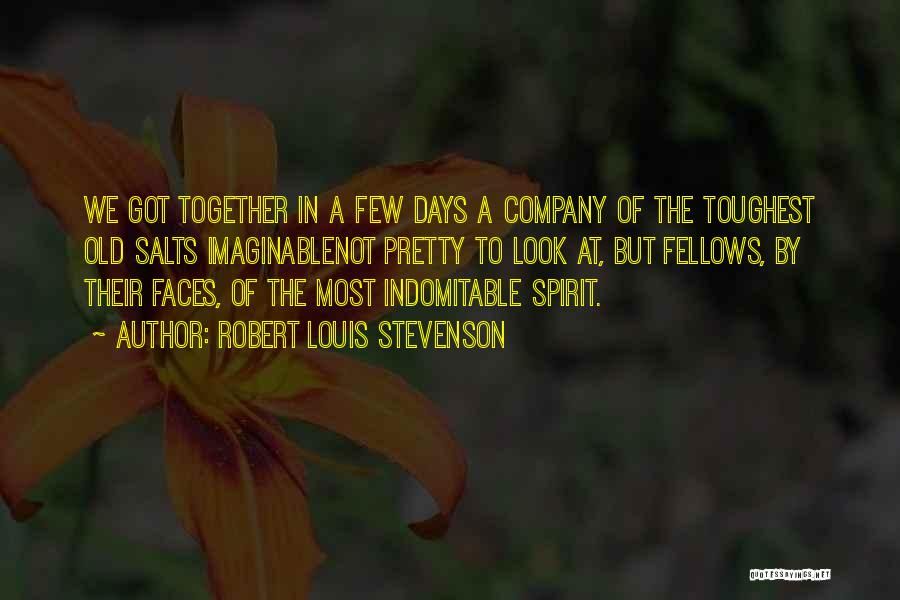 Indomitable Spirit Quotes By Robert Louis Stevenson