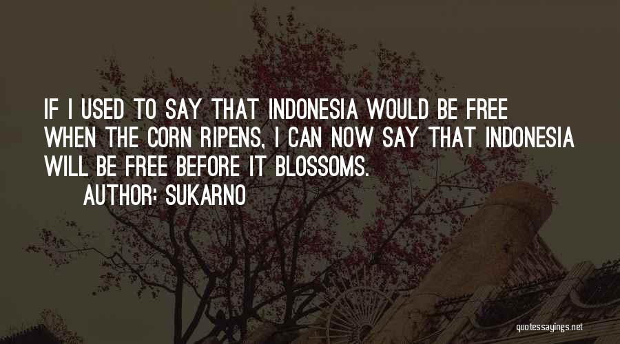 Indonesia Quotes By Sukarno