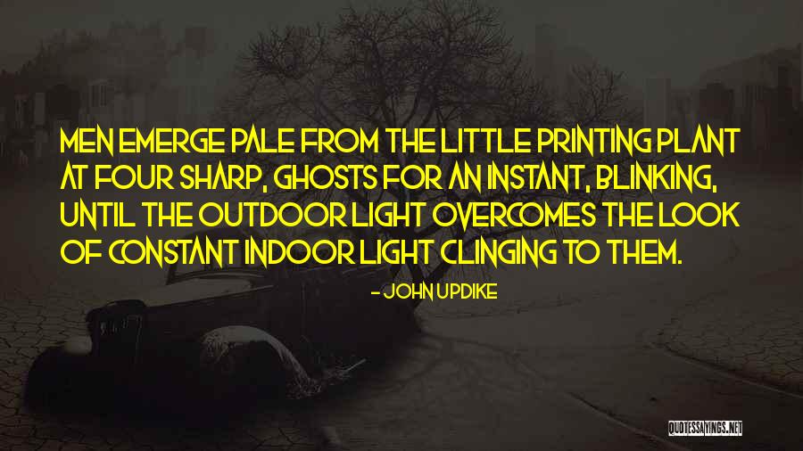 Indoor Plant Quotes By John Updike Indoor Plant Quotes By John Updike