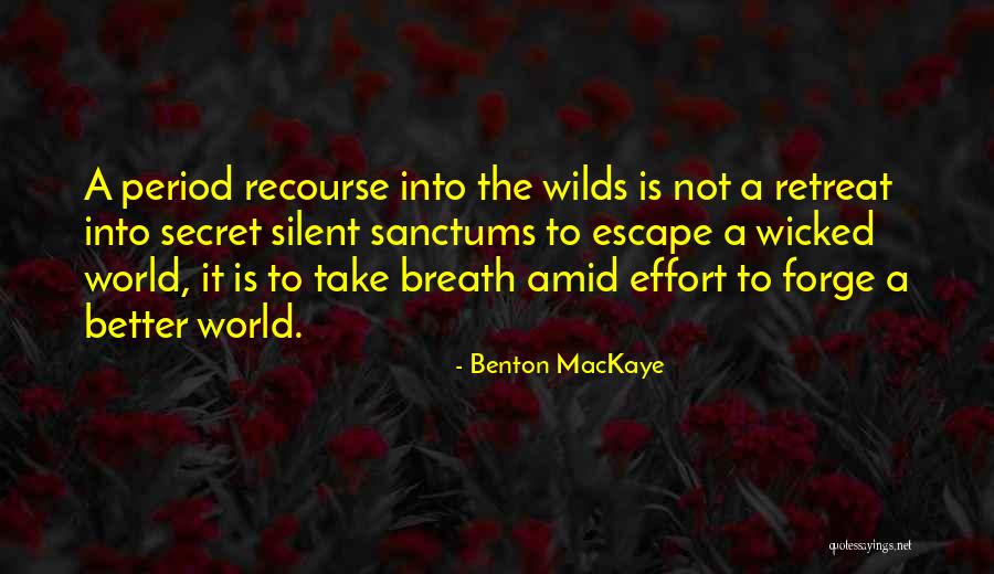 Indrajeet Bose Quotes By Benton MacKaye Indrajeet Bose Quotes By Benton MacKaye