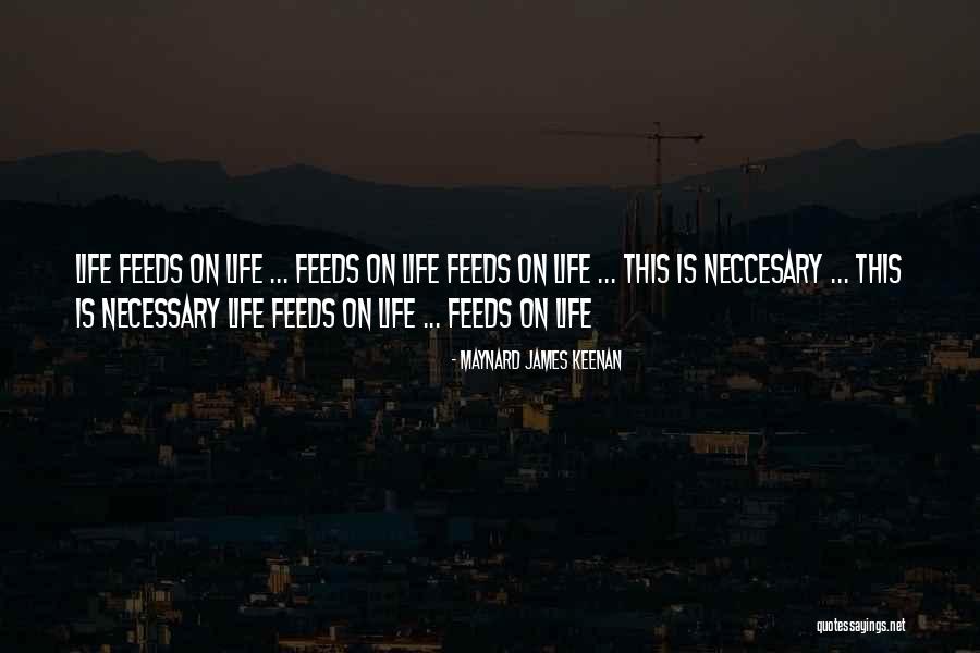 Indrick Boreale Quotes By Maynard James Keenan Indrick Boreale Quotes By Maynard James Keenan