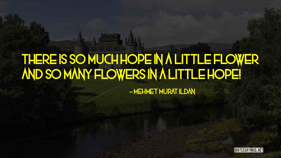 Inducting Quotes By Mehmet Murat Ildan Inducting Quotes By Mehmet Murat Ildan