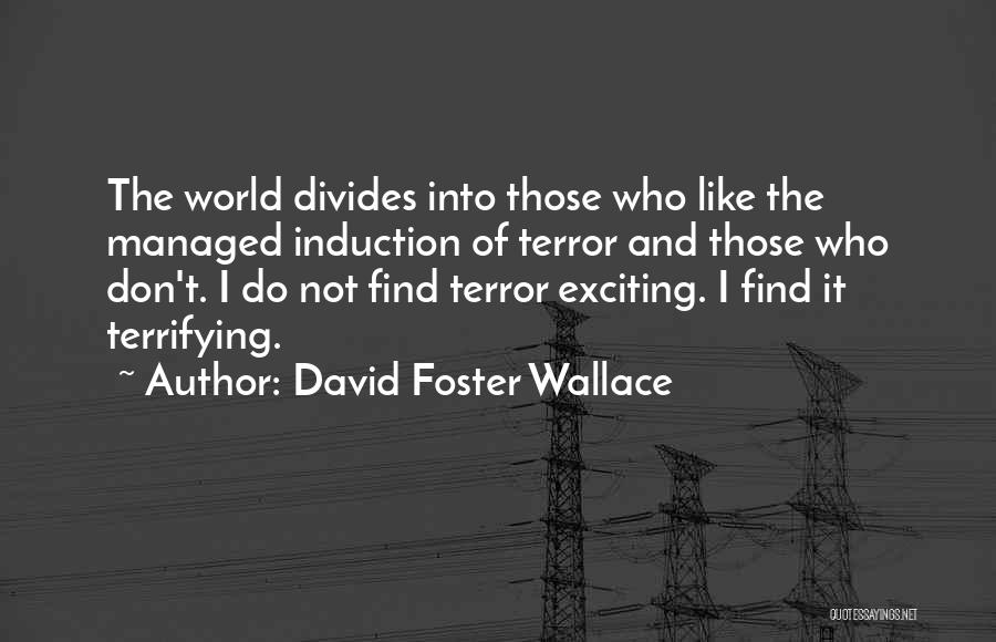 Induction Quotes By David Foster Wallace