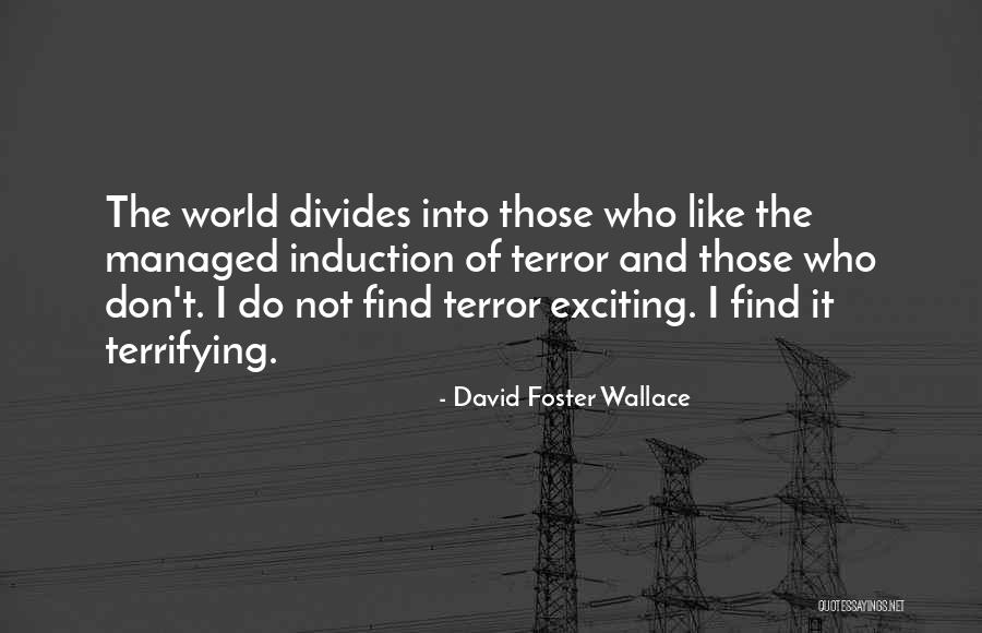 Induction Quotes By David Foster Wallace