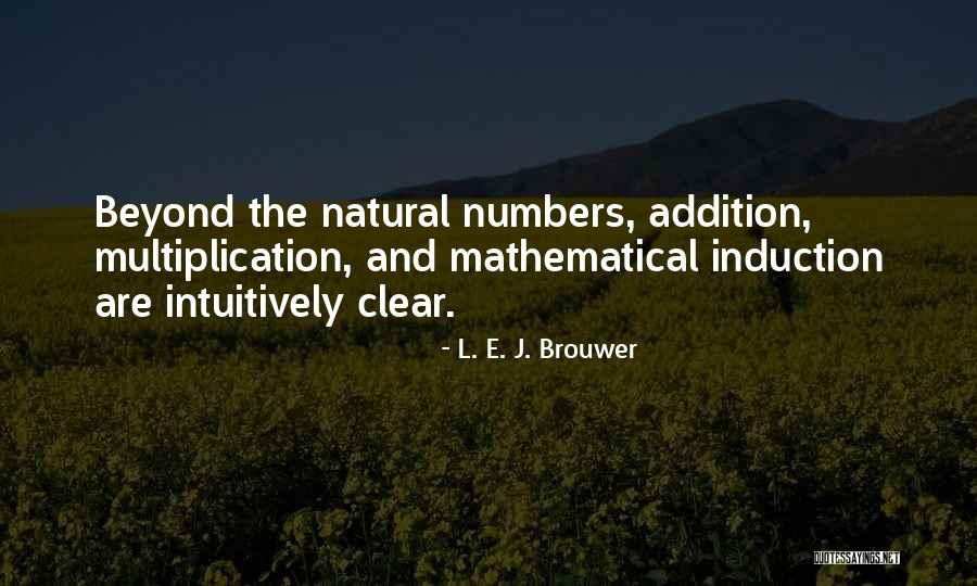 Induction Quotes By L. E. J. Brouwer