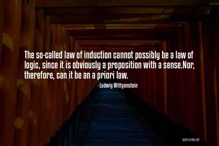 Induction Quotes By Ludwig Wittgenstein