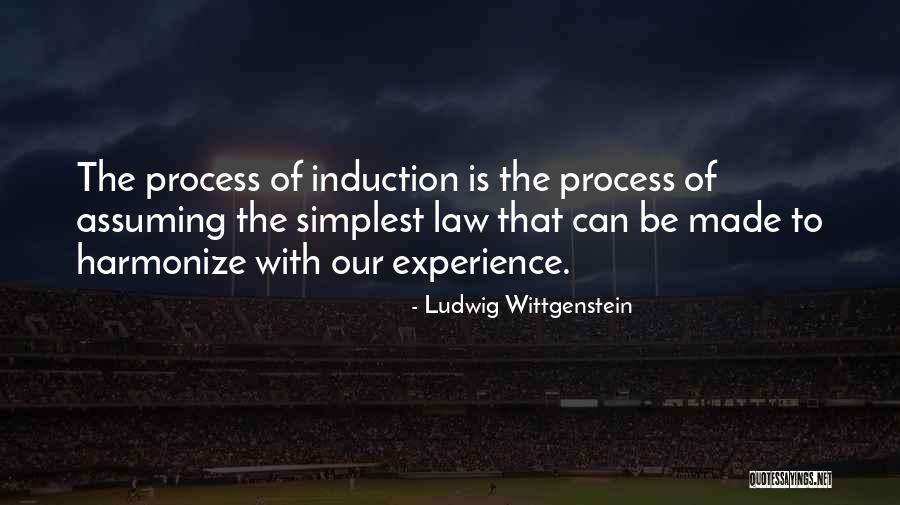 Induction Quotes By Ludwig Wittgenstein