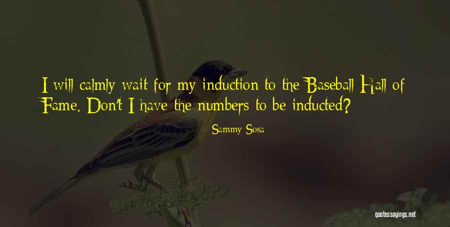 Induction Quotes By Sammy Sosa