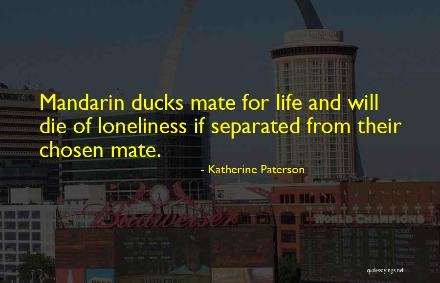 Inductivas Ejemplos Quotes By Katherine Paterson Inductivas Ejemplos Quotes By Katherine Paterson