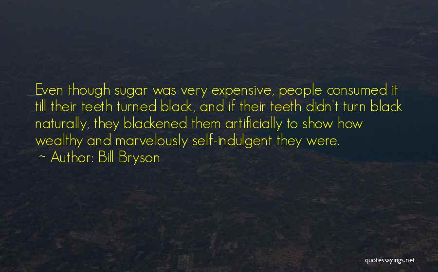 Indulgent Quotes By Bill Bryson Indulgent Quotes By Bill Bryson