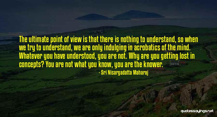 Indulging Yourself Quotes By Sri Nisargadatta Maharaj Indulging Yourself Quotes By Sri Nisargadatta Maharaj