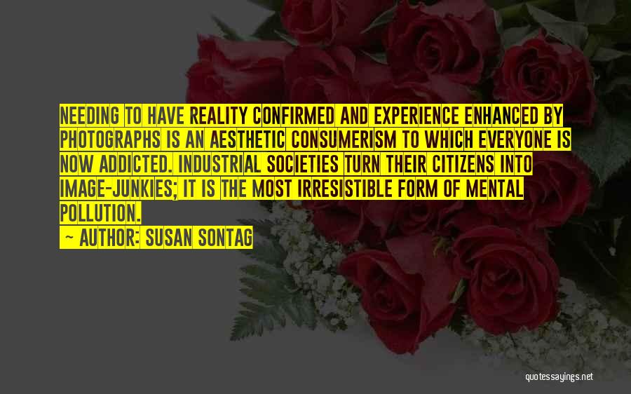 Industrial Pollution Quotes By Susan Sontag