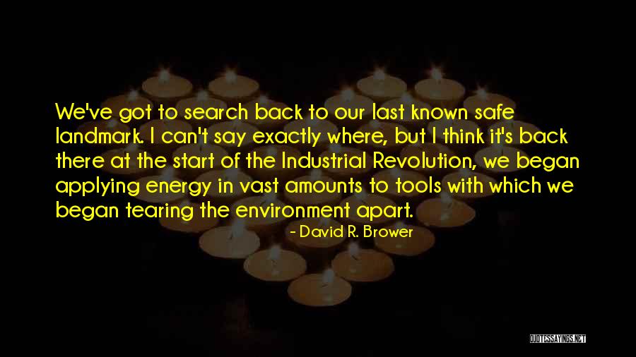 Industrial Revolution Quotes By David R. Brower