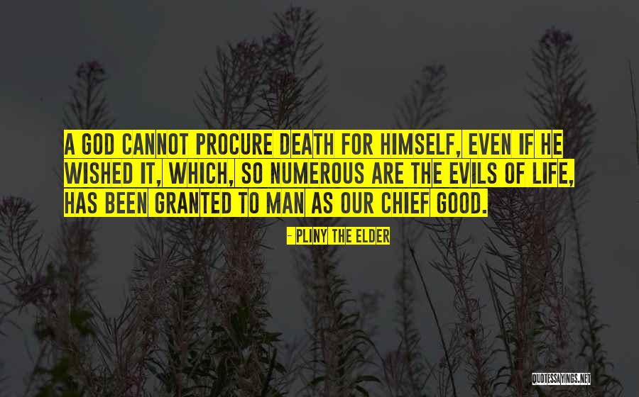Industrialectric Quotes By Pliny The Elder Industrialectric Quotes By Pliny The Elder