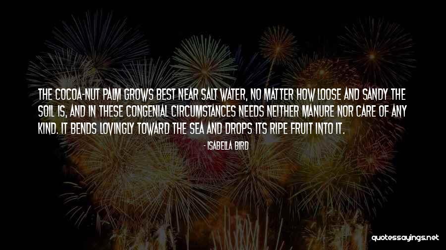Industrialism Era Quotes By Isabella Bird Industrialism Era Quotes By Isabella Bird