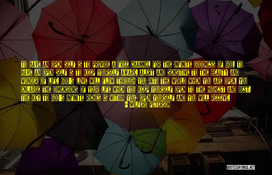 Industrias America Quotes By Wilferd Peterson Industrias America Quotes By Wilferd Peterson