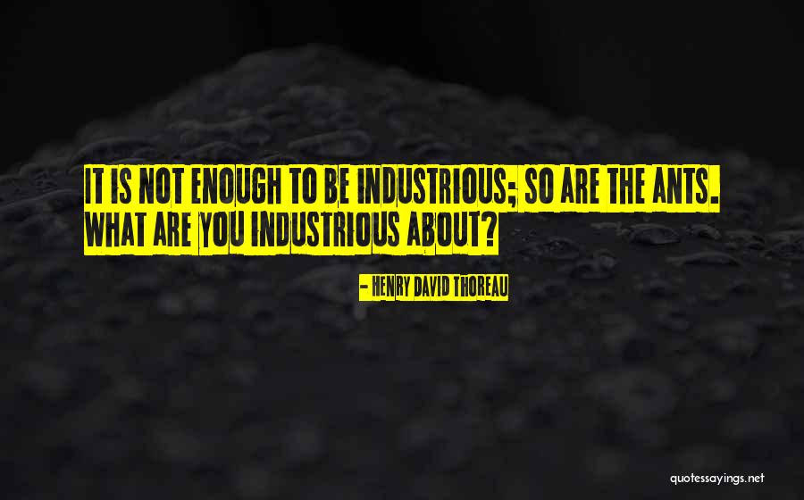 Industriousness Quotes By Henry David Thoreau Industriousness Quotes By Henry David Thoreau