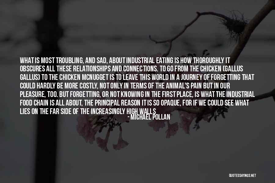 Industry And Agriculture Quotes By Michael Pollan