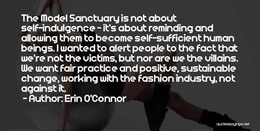 Industry Change Quotes By Erin O'Connor