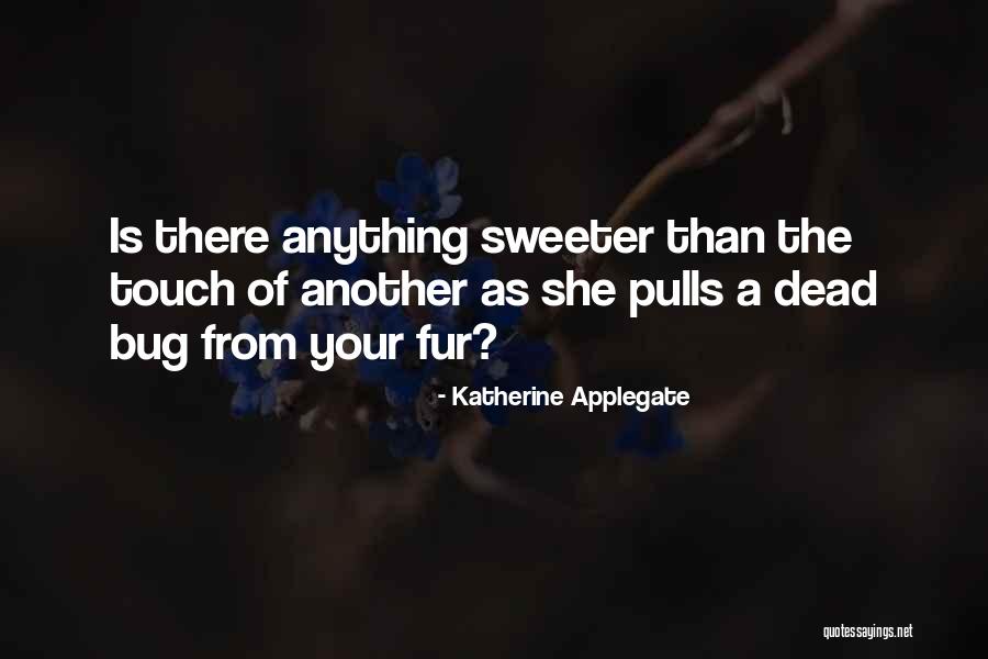 Indycar 2020 Quotes By Katherine Applegate Indycar 2020 Quotes By Katherine Applegate