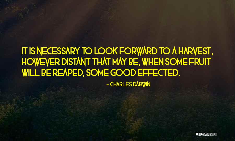 Ineauty Quotes By Charles Darwin Ineauty Quotes By Charles Darwin