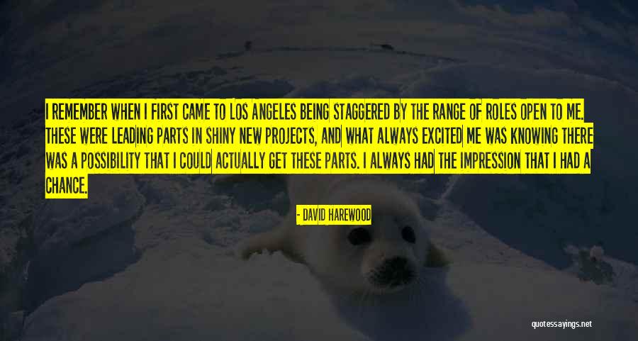 Inebriation Band Quotes By David Harewood Inebriation Band Quotes By David Harewood