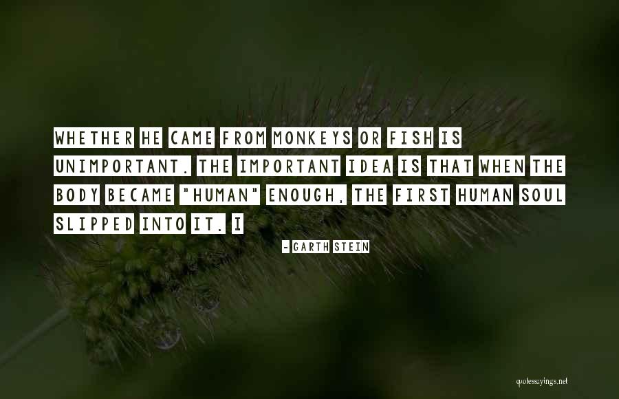 Ineince Quotes By Garth Stein Ineince Quotes By Garth Stein