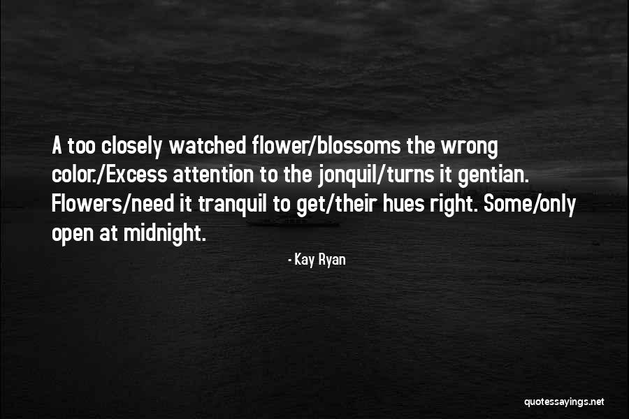 Ineindow Quotes By Kay Ryan Ineindow Quotes By Kay Ryan