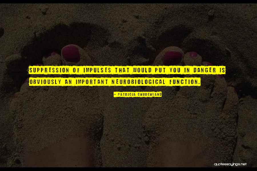 Ineloquently Quotes By Patricia Churchland Ineloquently Quotes By Patricia Churchland
