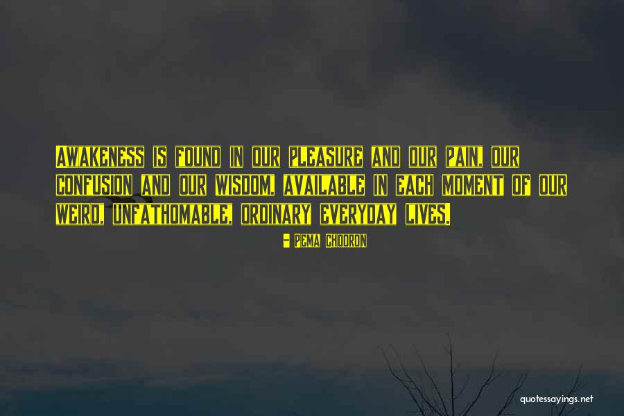 Inepuizabila Quotes By Pema Chodron Inepuizabila Quotes By Pema Chodron