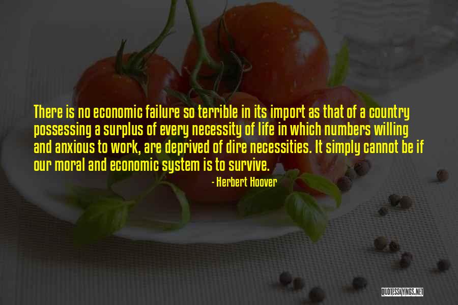 Inequality At Work Quotes By Herbert Hoover Inequality At Work Quotes By Herbert Hoover