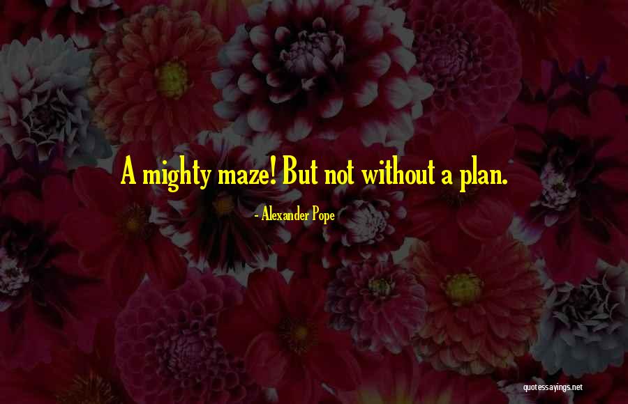 Inesorabile Significato Quotes By Alexander Pope