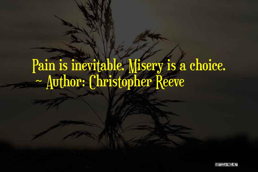 Inevitable Pain Quotes By Christopher Reeve