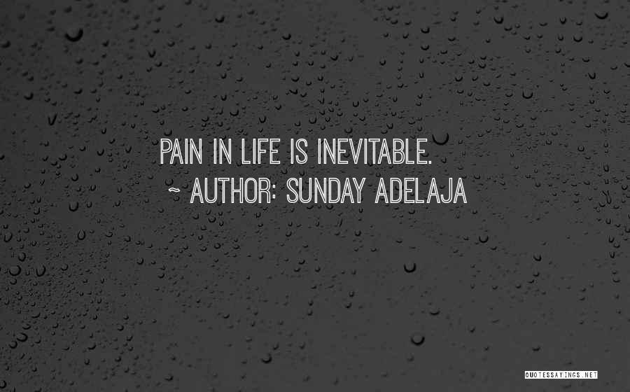 Inevitable Pain Quotes By Sunday Adelaja