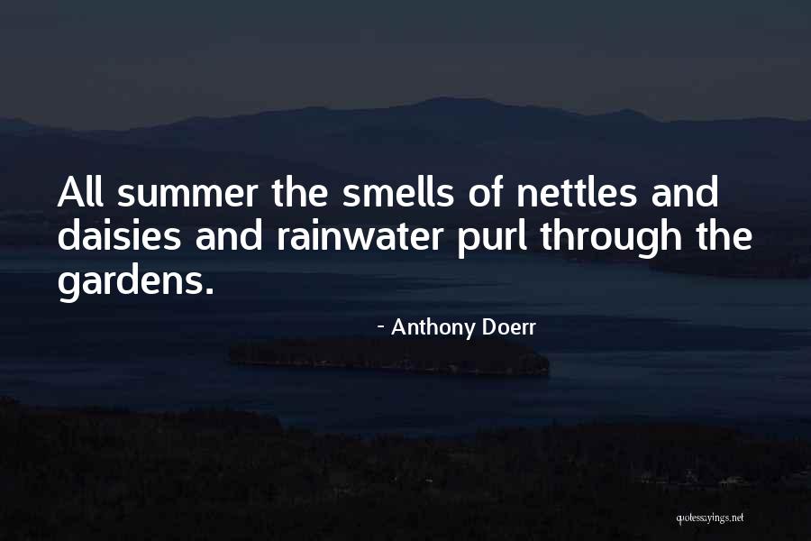 Inexpensive Wall Decals Quotes By Anthony Doerr Inexpensive Wall Decals Quotes By Anthony Doerr