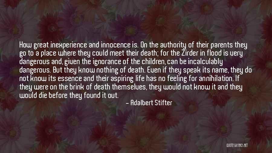 Inexperience Quotes By Adalbert Stifter