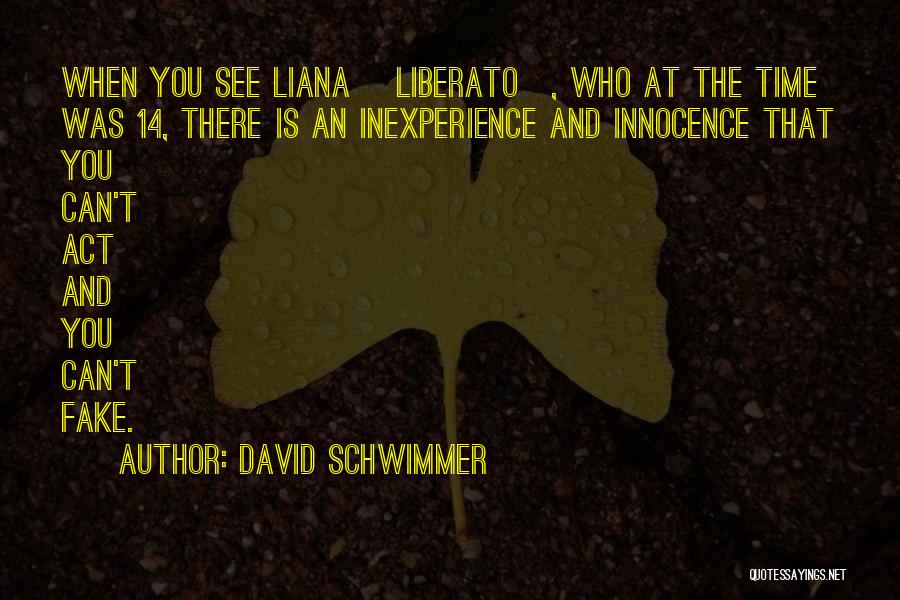 Inexperience Quotes By David Schwimmer
