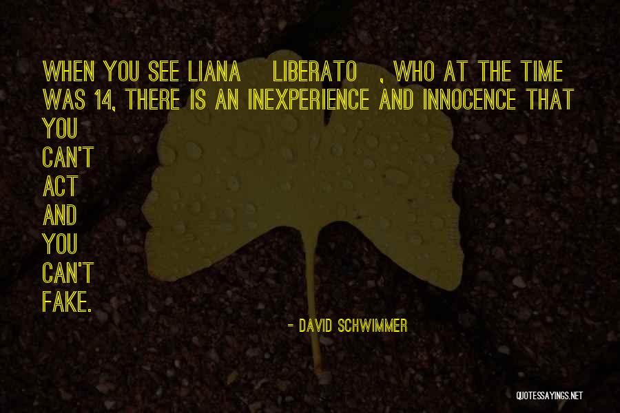 Inexperience Quotes By David Schwimmer