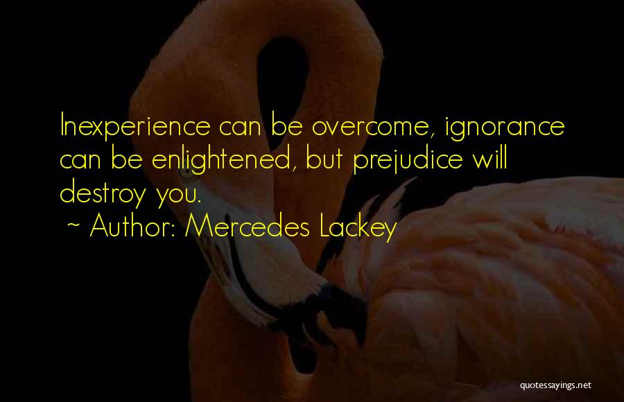 Inexperience Quotes By Mercedes Lackey