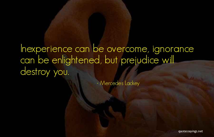 Inexperience Quotes By Mercedes Lackey