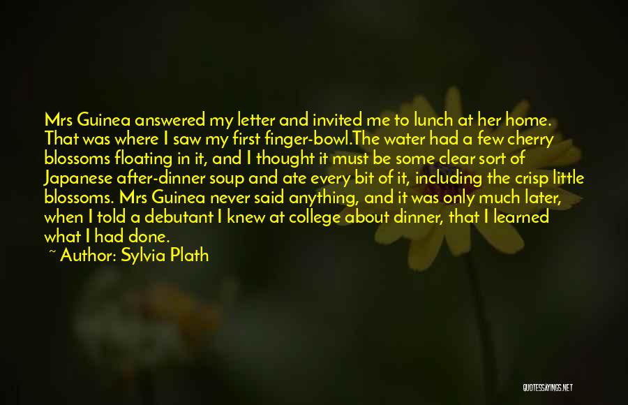 Inexperience Quotes By Sylvia Plath