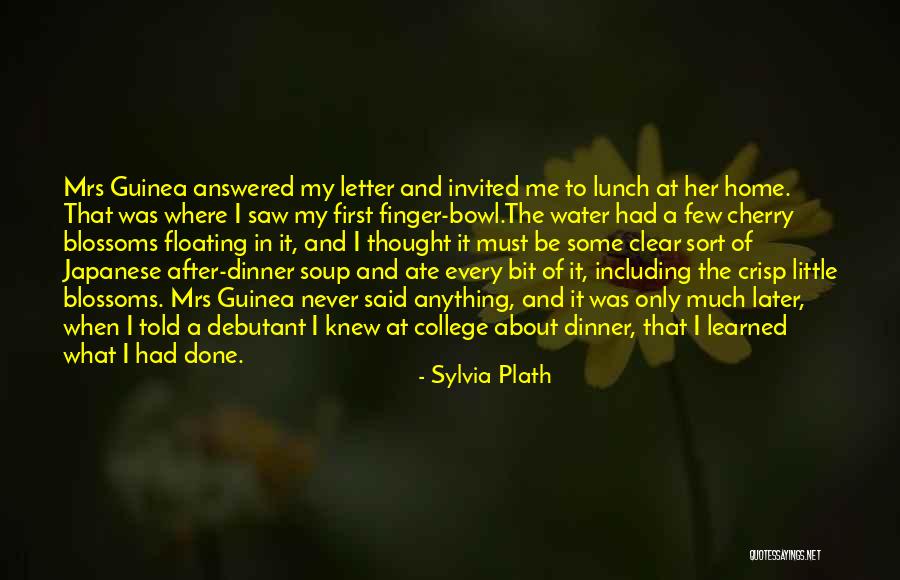 Inexperience Quotes By Sylvia Plath