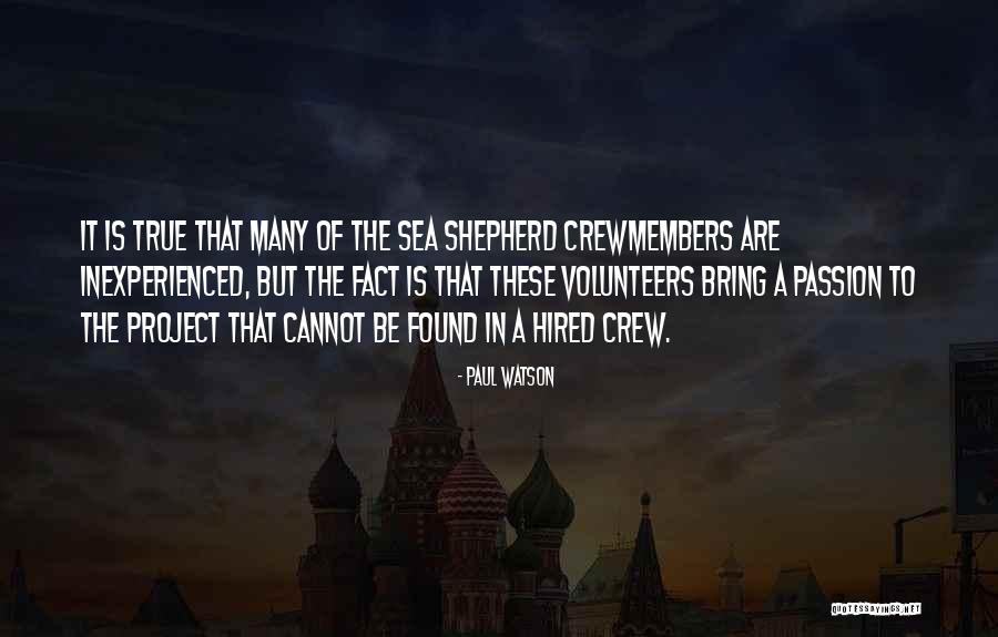 Inexperienced Quotes By Paul Watson Inexperienced Quotes By Paul Watson