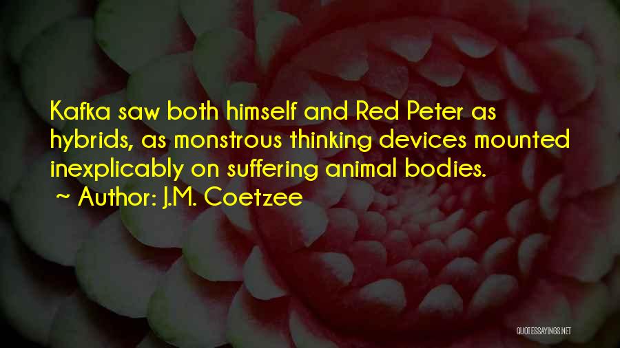 Inexplicably Quotes By J.M. Coetzee