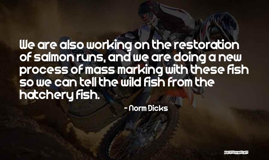 Infanta Leonor Quotes By Norm Dicks Infanta Leonor Quotes By Norm Dicks